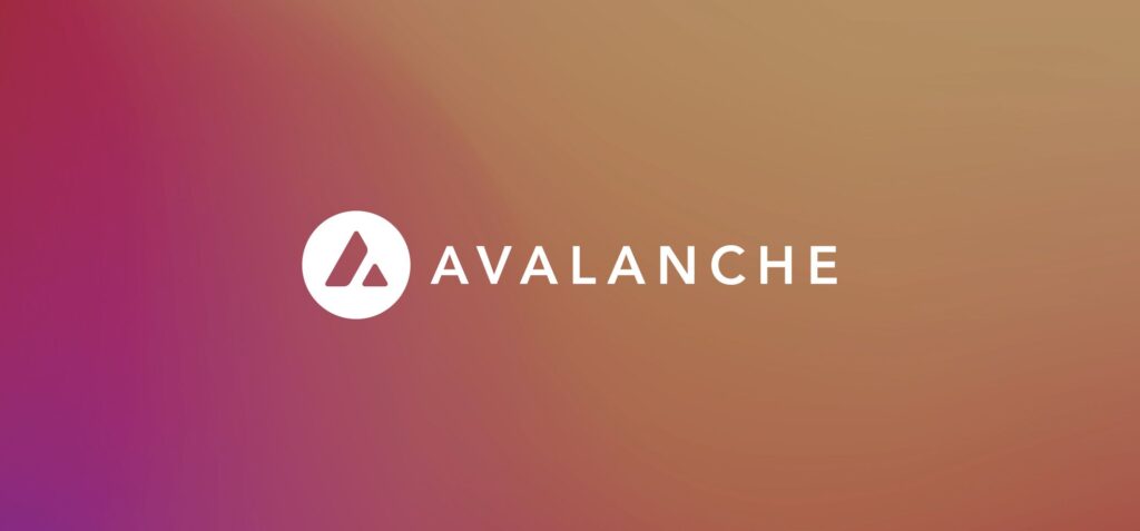 كيفية بناء تطبيقات dApps على بلوكشين Avalanche: دليل شامل خطوة بخطوة 2 سلسلة Avalanche Blockchain